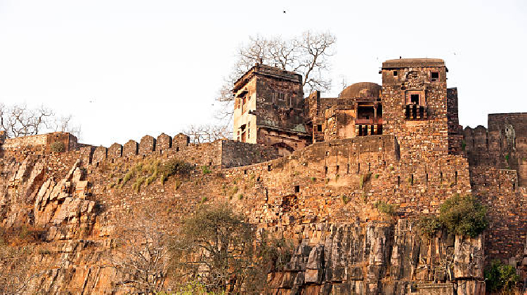 Explore the historic Ranthambore Fort with details on visiting times, entry fees, and its rich history.