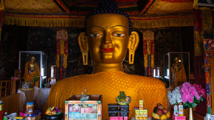 Shey Gompa, Shey Monastery, Shey Monastery of Ladakh, Shey Monastery Ladakh