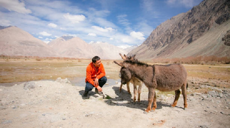 Ladakh outing Trek in Ladakh, Ladakh outing Trek , Ladakh outing Trekking, Ladakh outing Trek Tour in Ladakh