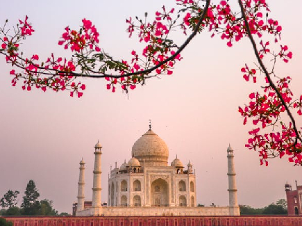 Agra museum, Top Agra museum