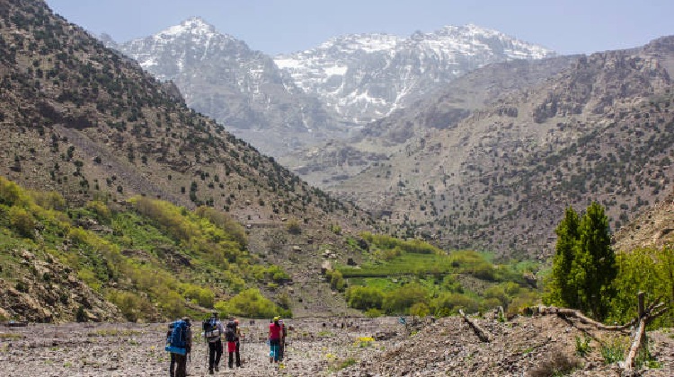 Markha Valley Trek , Markha Valley Trekking, Markha Valley Trek Tour in Ladakh