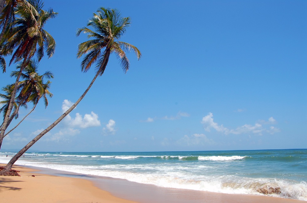 Best Time to Visit Goa: Ideal Weather for Your Goa Travel, Tourism, and Holiday Experience