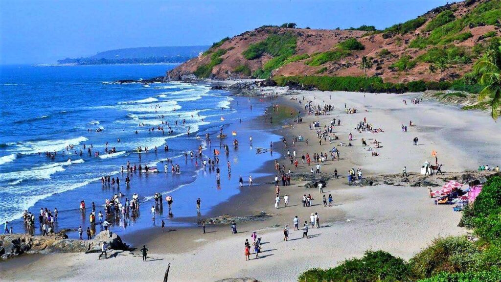 Image of a serene beach in Goa, perfect for a relaxing Goa tour or trip, with clear blue skies and palm trees.