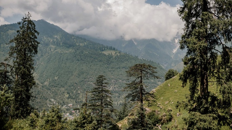 Embark on a memorable journey with our 6 days hill station tour packages. Enjoy a scenic hill station tour, including Shimla Manali tour packages for an enchanting experience.
