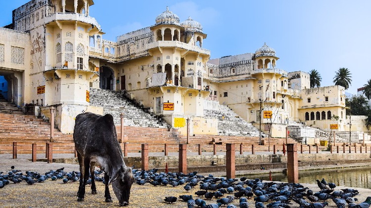 Acerca de Ajmer: Explora Ajmer Sharif y descubre nuestros paquetes turísticos de Ajmer, diseñados para tu experiencia perfecta.