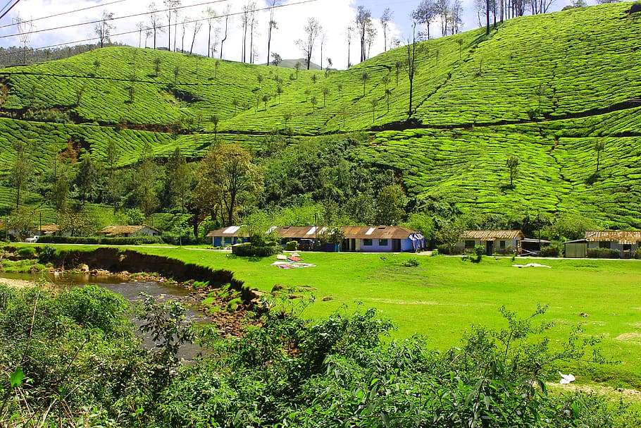 Explore the serene beauty of Kerala Hill Stations, offering picturesque landscapes and a peaceful retreat in the hills of Kerala.