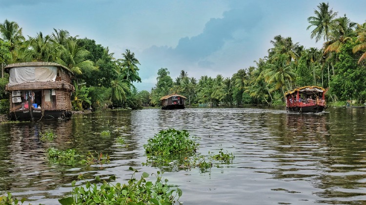 Historia de Kerala: cultura, tradiciones y evolución a lo largo de los siglos.