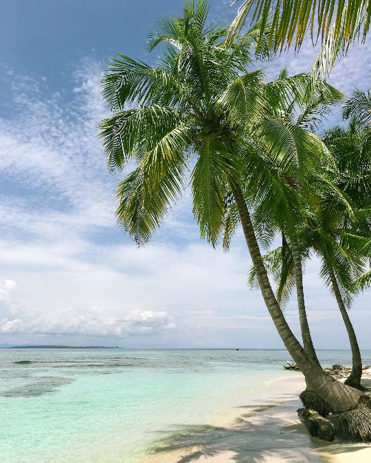 Imagen de un folleto de turismo mostrando opciones para explorar las playas de India. Destaca los paquetes de tour por las playas de India y varios paquetes de tour por las playas, con imágenes de playas tropicales y actividades costeras.