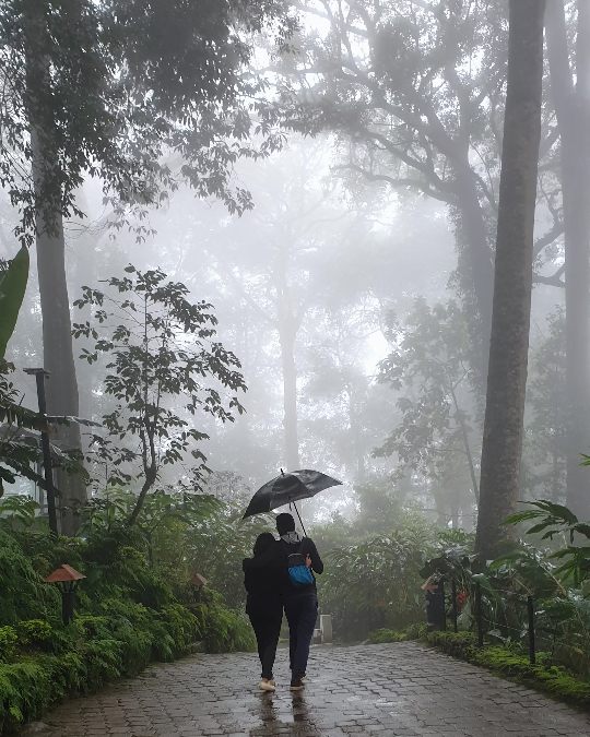 Imagen de opciones de viajes románticos: paquetes turísticos de luna de miel, paquetes turísticos para parejas en Goa y en Manali.