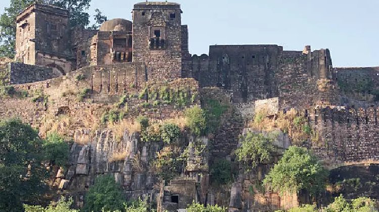 An exciting Ranthambore Jeep Safari in Sawai Madhopur, featuring stunning views of Ranthambore Fort and nearby attractions.