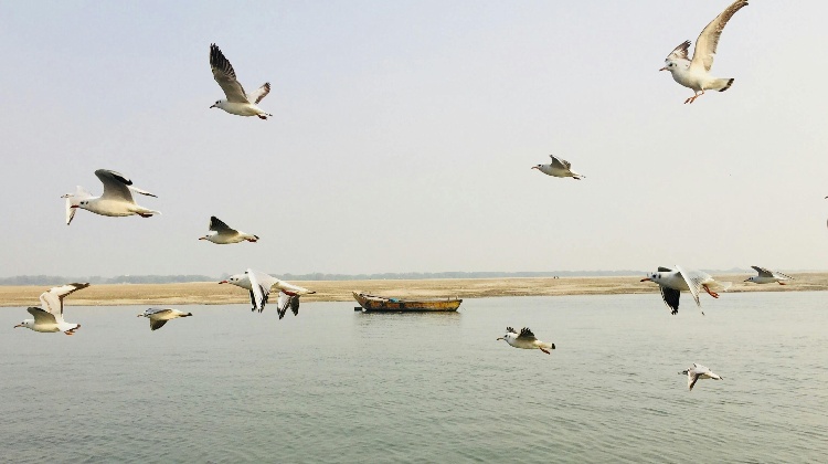 A scenic view of Varanasi, showcasing the ghats and the Ganges River, with a focus on the best time to visit, including ideal months for travel and a glimpse of the city's weather.