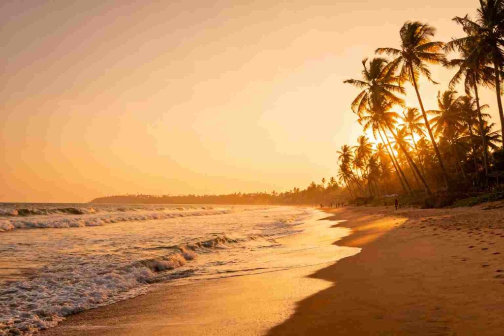 Paquete de 2 noches en Goa desde Delhi